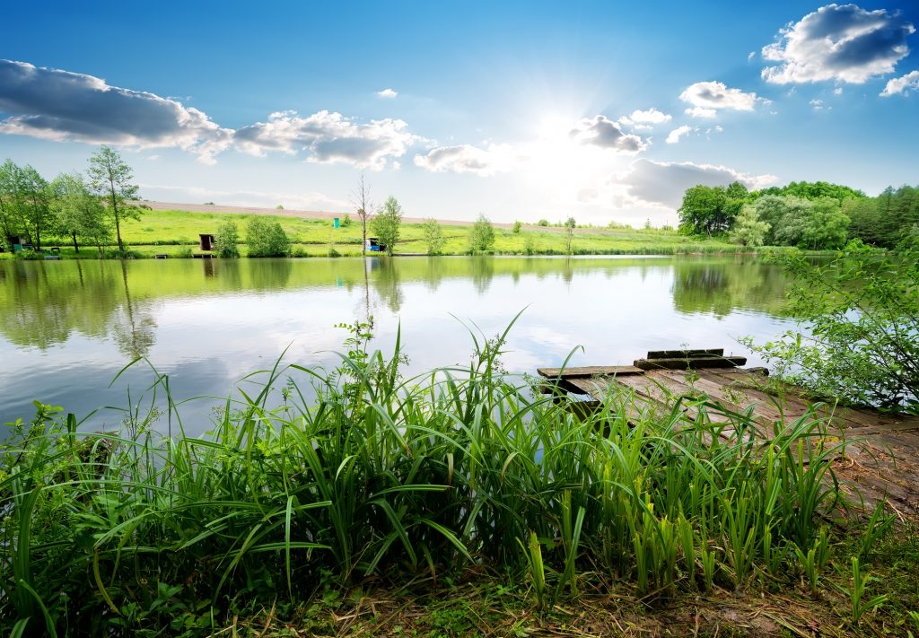 Pros and Cons of Building a Pond Countryside